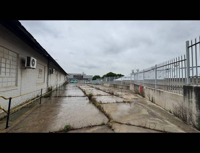 1,000M² WAREHOUSE TO LET IN WYNBERG